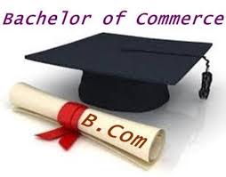 Bachelor of Commerce (B.COM)