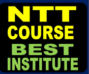 NTT (Diploma Nursery Teachers Training) 1 YEAR